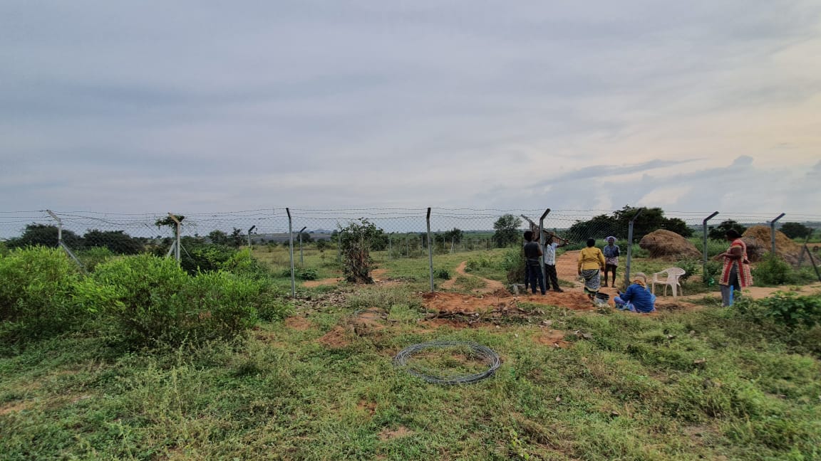 Solar Panel Assembly